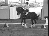 Dressage is an equestrian ballet.