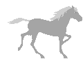 A Fine Equine